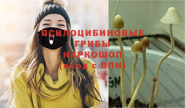 марки lsd Няндома