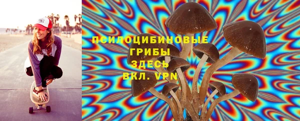 2c-b Нягань