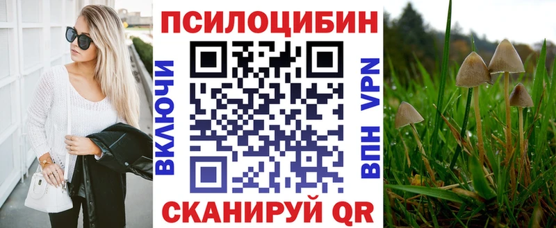 Псилоцибиновые грибы Magic Shrooms  купить наркотики цена  Пудож 