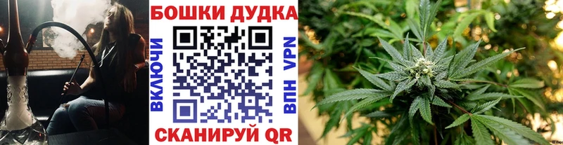 Конопля Amnesia  закладка  Пудож 