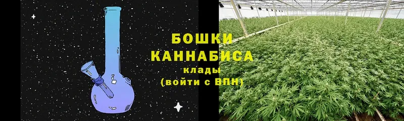 купить наркотики сайты  Пудож  Марихуана THC 21% 